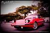 Wheel Set Up On Your Fb-pose3.jpg