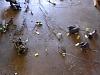 s4 t2 wireing project-cimg1728.jpg