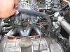 suggestions please...-img_1414.jpg