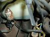 TEXAS Emissions test-where-does-go.jpg