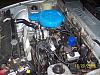 Need Help!  (Beautiful 1st Gen)-100_3110.jpg
