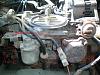 Rat Nest Pics-100_0887.jpg