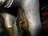 Screwed up Oil line on Intake Manifold-mani-1.jpg