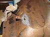 Gas Tank Repair Advice-img_4672.jpg