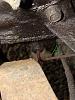 Help no spark on traling plugs// very choppy on start-loose-wires-2.jpg