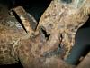 GSL-SE rear end swap problem-rear-end-rust-2.jpg