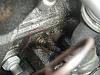 What is this?-007.jpg