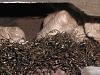 How to: Make you're own muffler.-p9070023.jpg