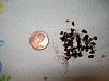 I found something in my transmission!!-171.jpg