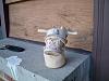wierd sludge in fuel filter-picture-103.jpg