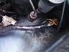 Shaved Engine bay-my-engine2.jpg