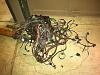 s5 t2 into 1st gen WIRING!!!-img_1558.jpg