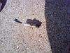 Spark plug core broke-1112111111-00.jpg