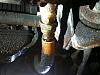 oil line leak-oil-fitting.jpg