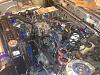 Turbo 12a has a little life in her-photo-3.jpg