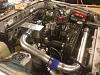 Turbo 12a has a little life in her-photo-4.jpg