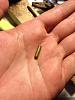 Carb part identification request (nikki)-908515_10152745110540114_1431934346_n.jpg