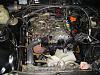 Post pics of your Engine Bay!-pict0636.jpg