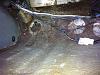 Kill switch for the fuel pump-fuel-relay2.jpg