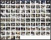 Removing 12a from FB - First Time-photorecord3.jpg