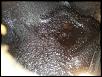 Moth-balled No More!-tank-800x600-.jpg