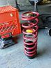 Adjustable Rear Perches-31637.jpg