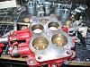 Nikki Carb questions-sr01.jpg
