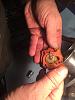 DEllorto carbs-image-2977092515.jpg