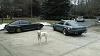 How low can a 1st gen go on t3 coilovers?-both-rear.jpeg