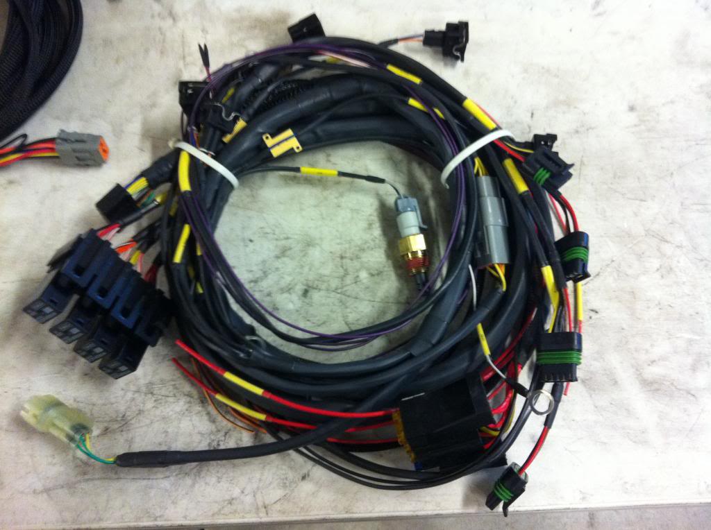 Name:  harness2_zps8163e3e3.jpg
Views: 84
Size:  94.0 KB