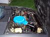 Pictures of my ride (part 2, engine bay)-000_0078_renamed_10973.jpg
