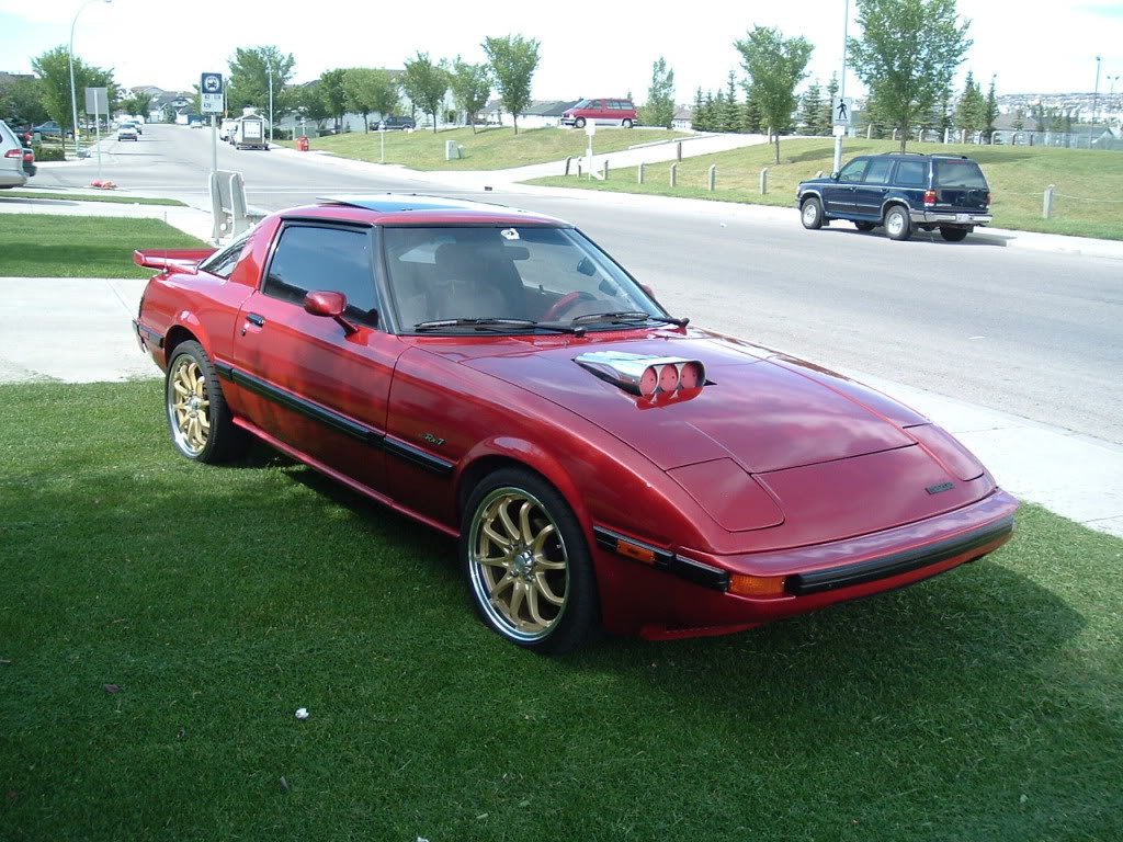 Name:  scoop2.jpg
Views: 454
Size:  179.9 KB