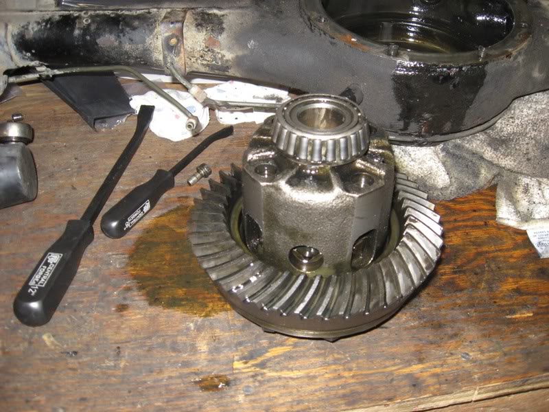 Name:  IMG_1421.jpg
Views: 1999
Size:  113.6 KB