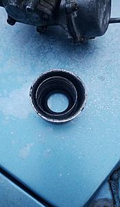 Mystery Spring-spring-thing.jpg