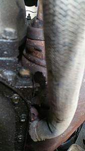 79 - oil leak just after MAZDA on rear section-20181107_221149.jpg