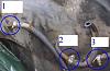 Gas Tank hoses hook up-picture-001-edit-1.jpg