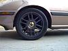 Rims-rimshot1.jpg