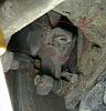 rear caliper question-rear-caliper.jpg