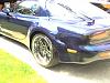 Pettit flares molded in-img059.jpg