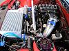 20B FD transplant-img_4080.jpg
