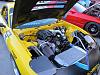 20B FD transplant-img_4093.jpg