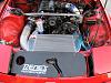 20B FD transplant-img_4077.jpg