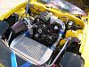 20B FD transplant-img_3946.jpg