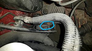 IT IS ALIVE....but oil pressure gauge doesn't move-20170830_194856.jpg