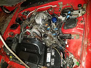 New fc owner from Texas seeking help and advice-ymagbo1.jpg