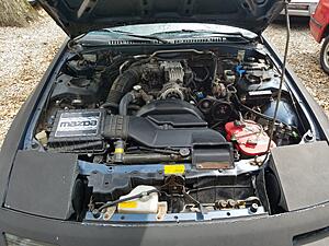 New fc owner from Texas seeking help and advice-x4lgcfw.jpg