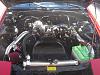 Just washed-ebay-102707-006.jpg