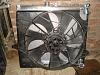 a few current pics-dsc00766.jpg