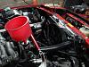 a few current pics-dsc00768.jpg