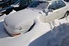 Pics of your daily!!!-dsc_1208.jpg